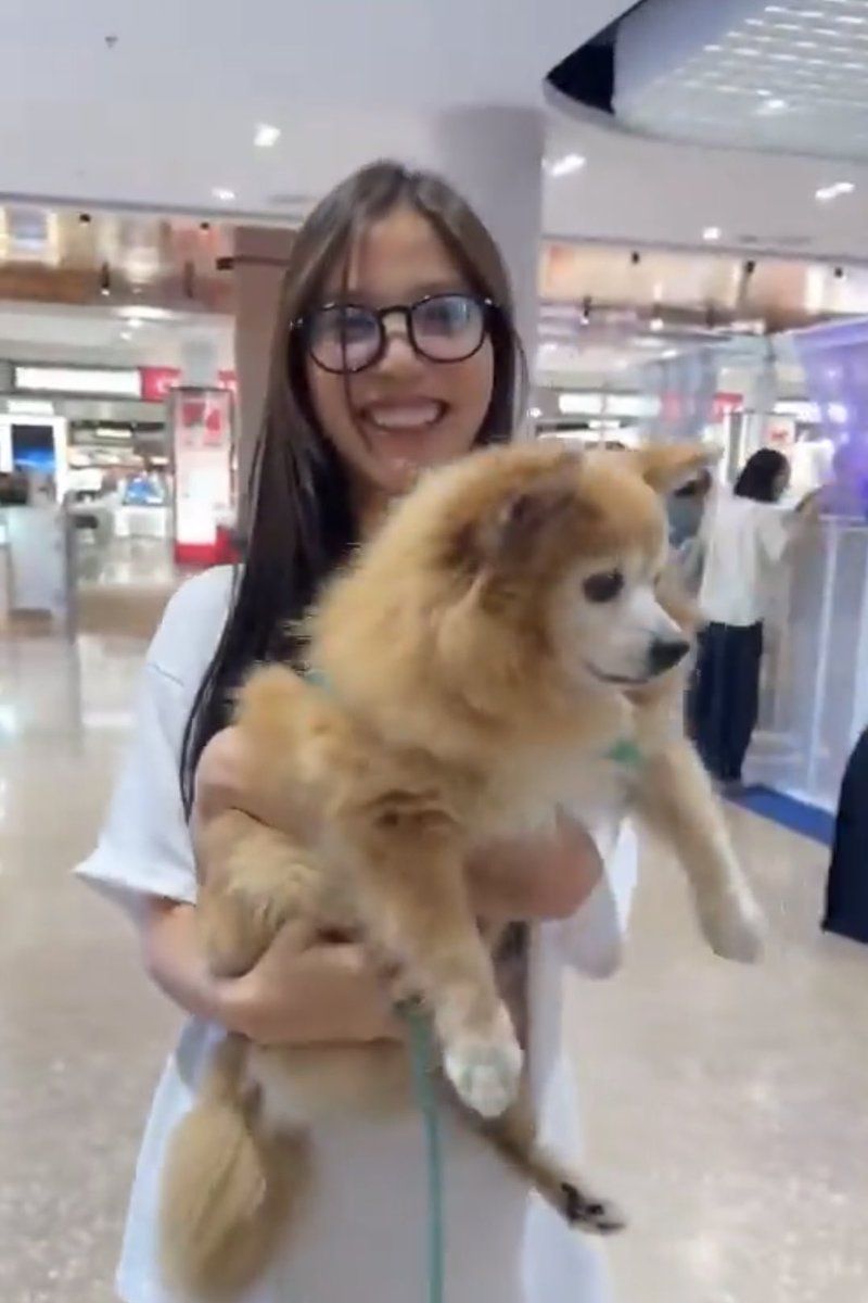 ¢н︎σя︎ᶜʰᵃ — シ tweet media