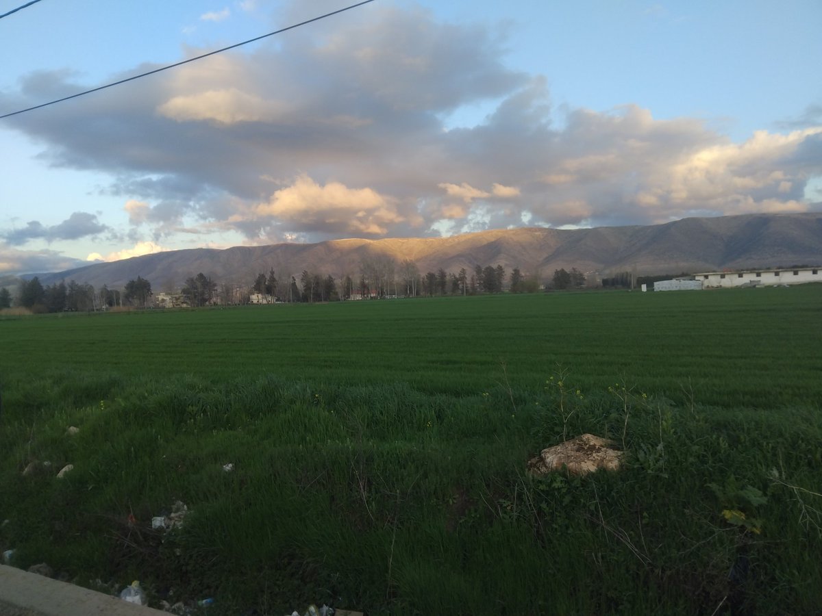 Tima Sabbagh ❤🇱🇧🌲 tweet media