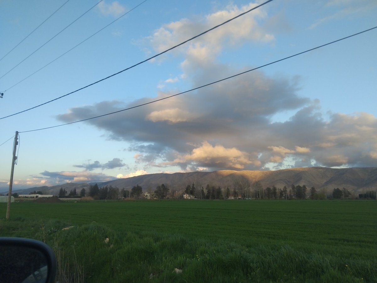 Tima Sabbagh ❤🇱🇧🌲 tweet media