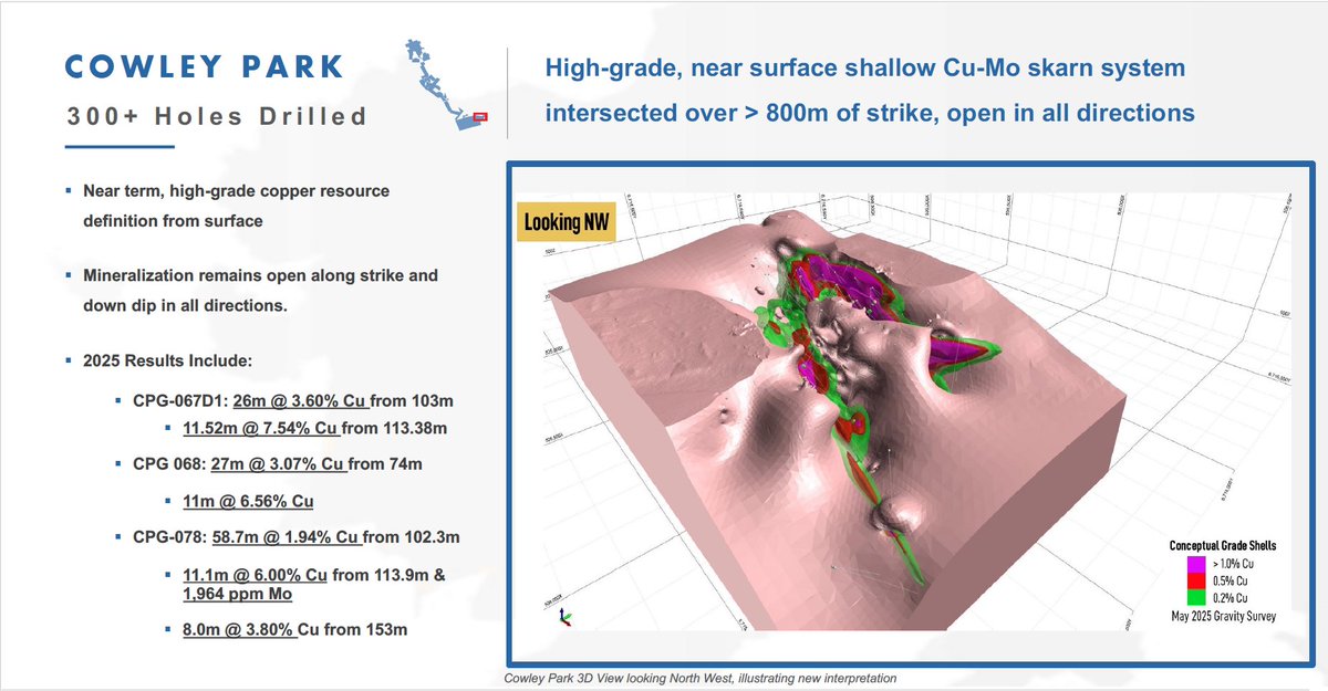 Gladiator Metals tweet media