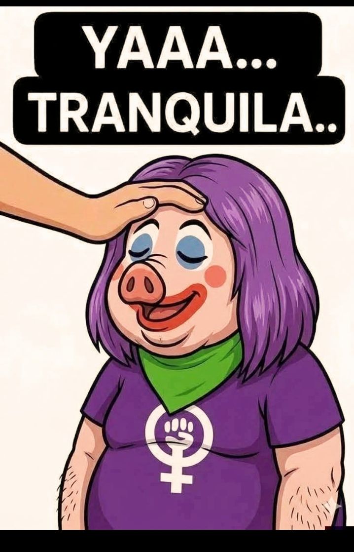 Emil Red tweet media