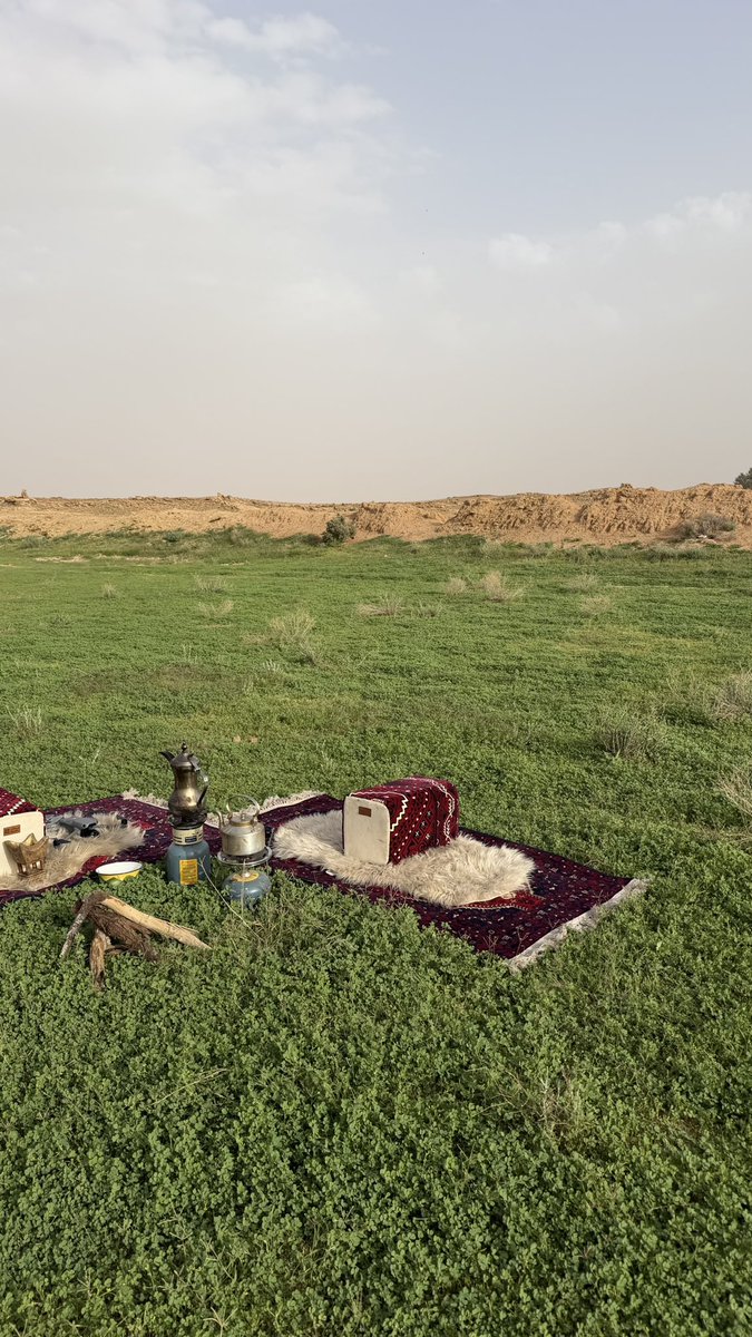 سعد الحريص 📸 tweet media