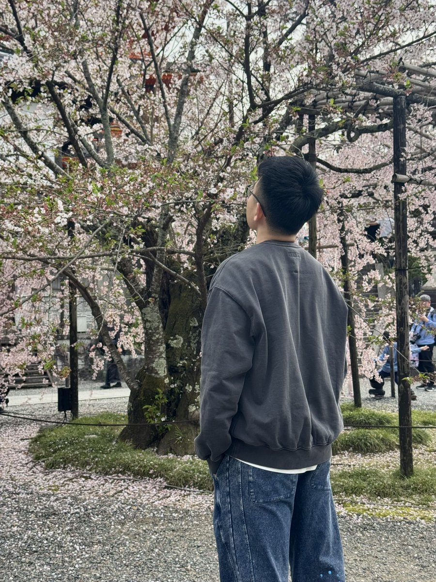15618704wer's tweet photo. Osaka https://t.co/XICqhWEqgo