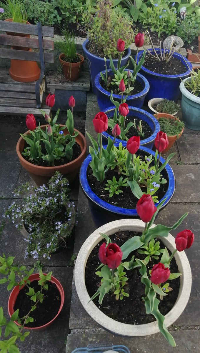 susan metcalfe tweet media