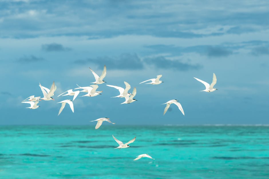 Lorraine Bable tweet media