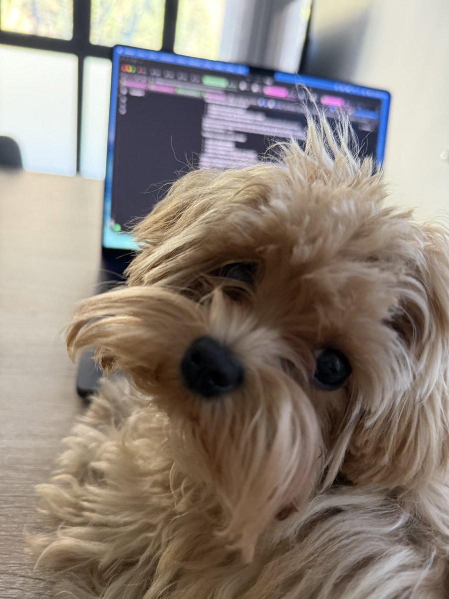 Esteban Blázquez tweet media