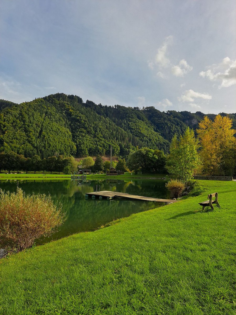 vistaaura tweet media