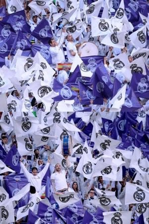 isc_elon's tweet image. I'm  a very dedicated supporter. I love Real Madrid and my love for the team is at the climax of my heart. But, tbh we're not going anywhere as long as the son of #Amorim is the one coaching my team!