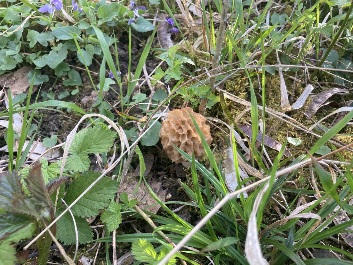 Jérémy TRIBOQUE 🙋‍♂️ tweet media