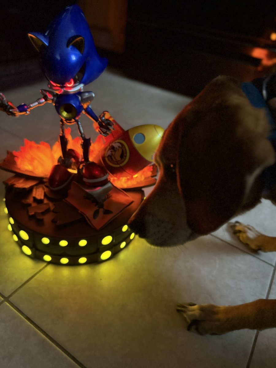 Joshua Taylor tweet media