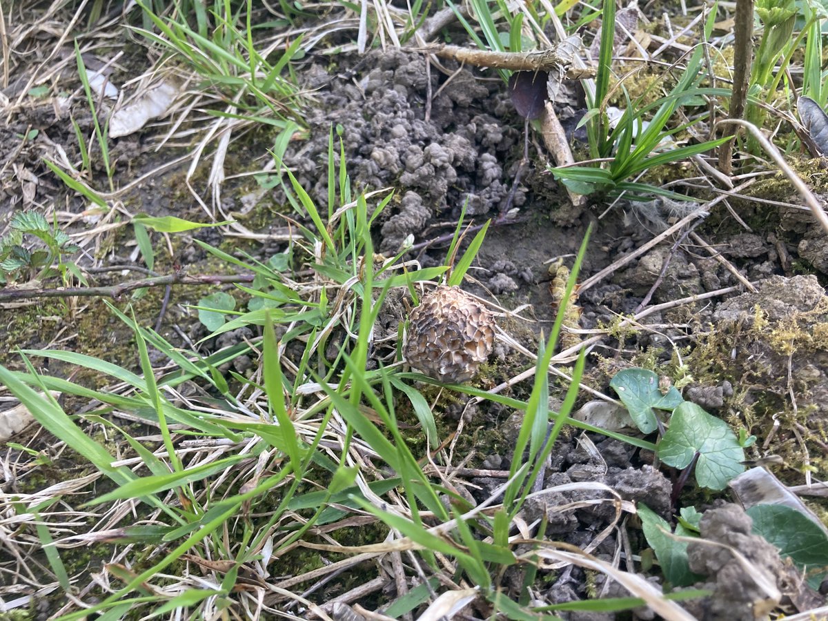 Jérémy TRIBOQUE 🙋‍♂️ tweet media