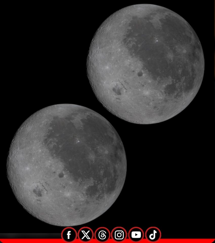 Enséñame de Ciencia tweet media