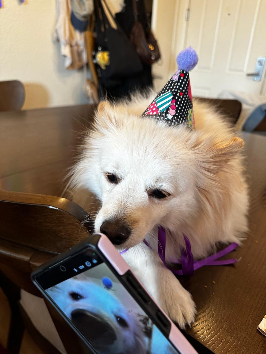 Matsu🦈๋࣭⭑*: 🇵🇷🇬🇹💖 tweet media