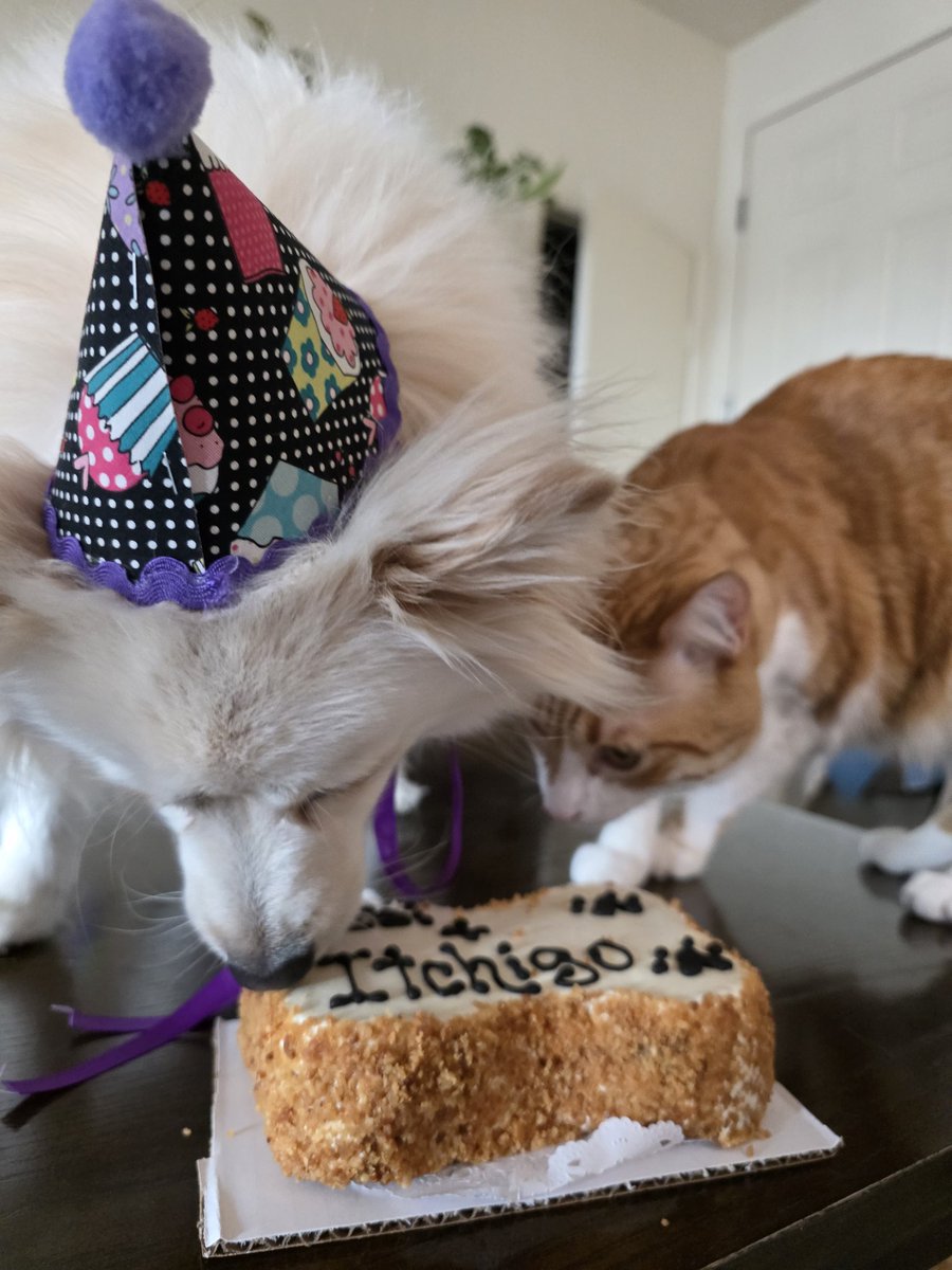 Matsu🦈๋࣭⭑*: 🇵🇷🇬🇹💖 tweet media