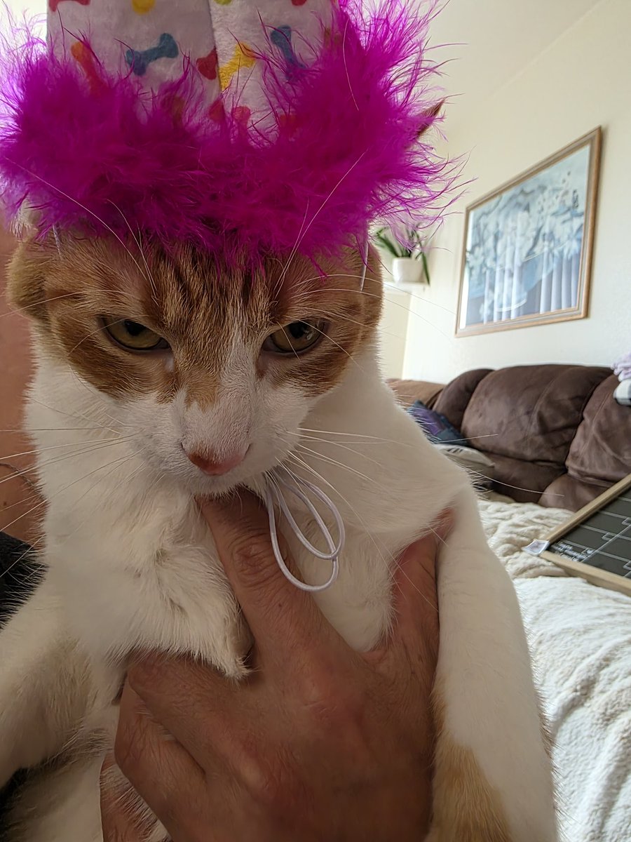 Matsu🦈๋࣭⭑*: 🇵🇷🇬🇹💖 tweet media