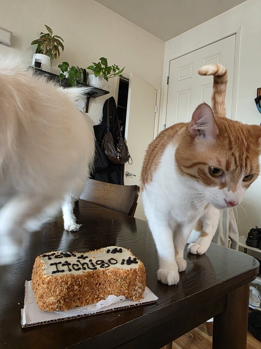 Matsu🦈๋࣭⭑*: 🇵🇷🇬🇹💖 tweet media