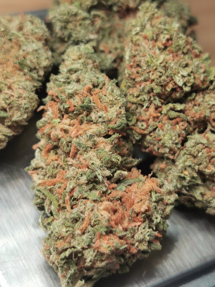 Estación 420 tweet media