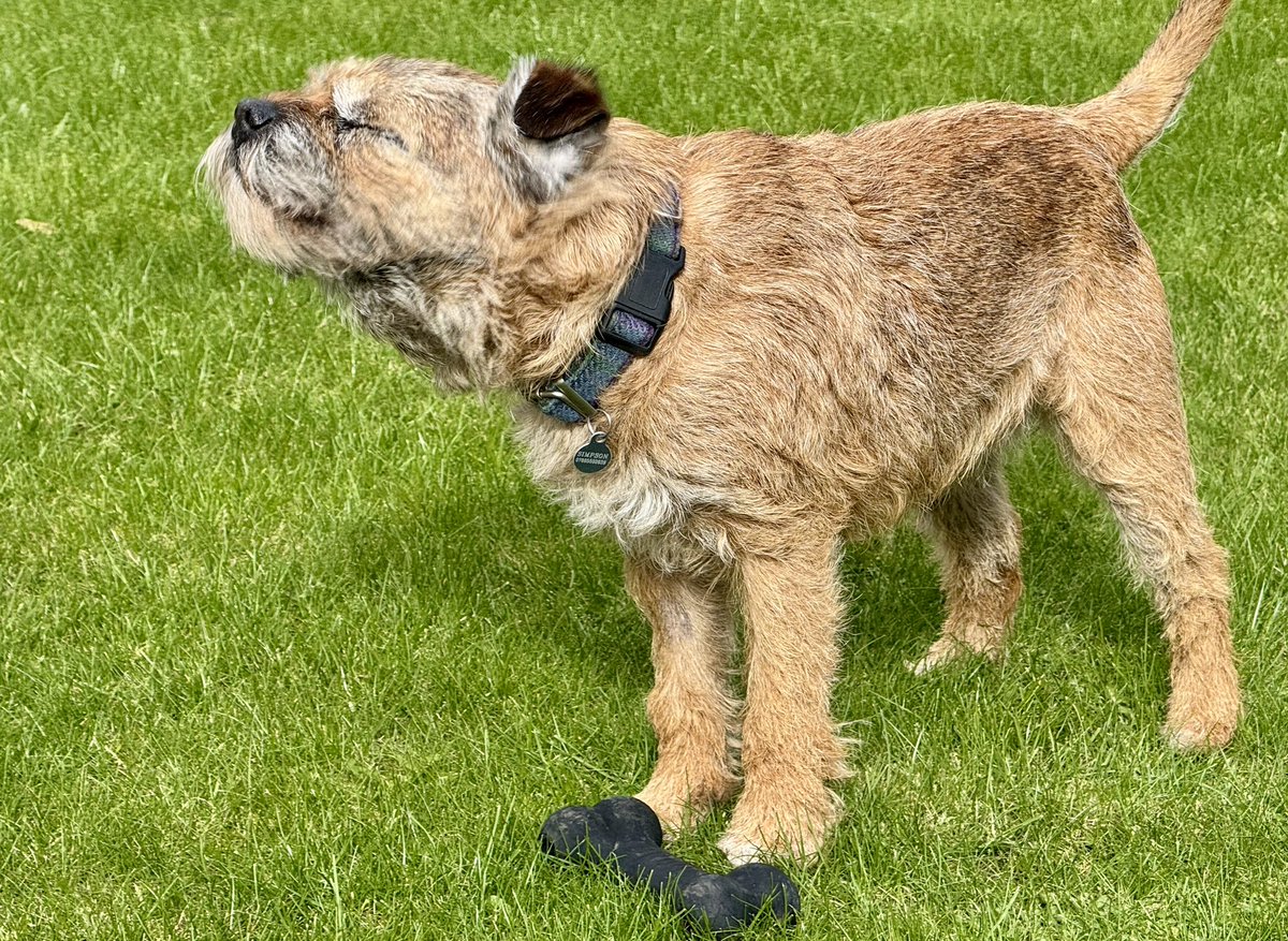 Lord Culter BT 🏴 Order of the IT tweet media