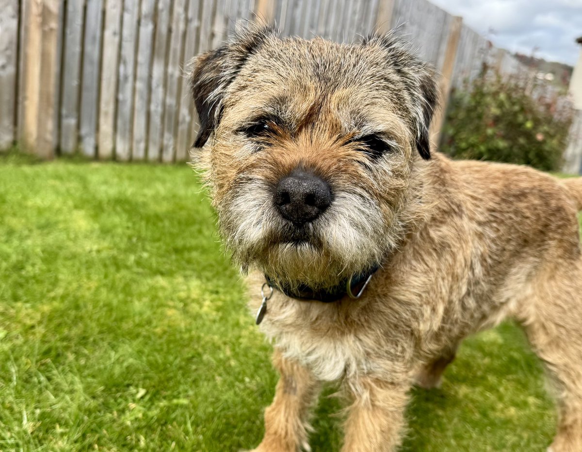 Lord Culter BT 🏴 Order of the IT tweet media