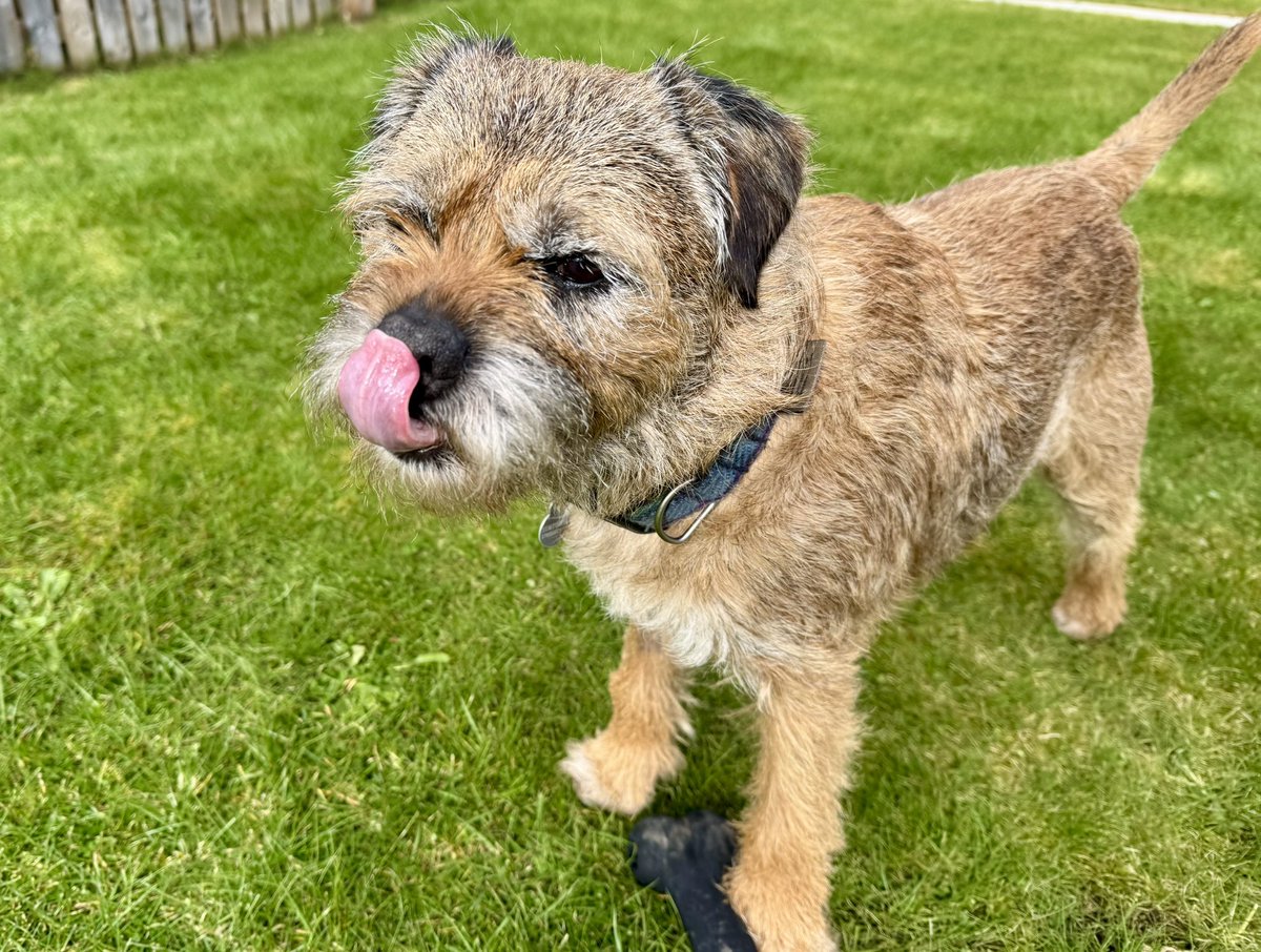 Lord Culter BT 🏴 Order of the IT tweet media