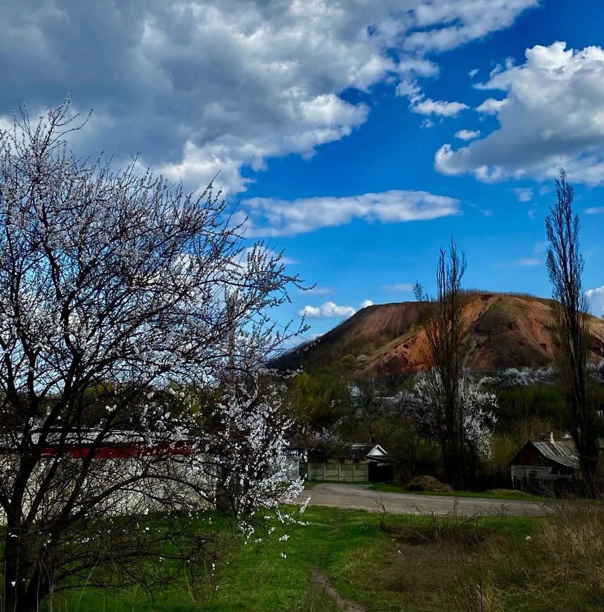 знову час цього фото 🌸 це моє улюблене