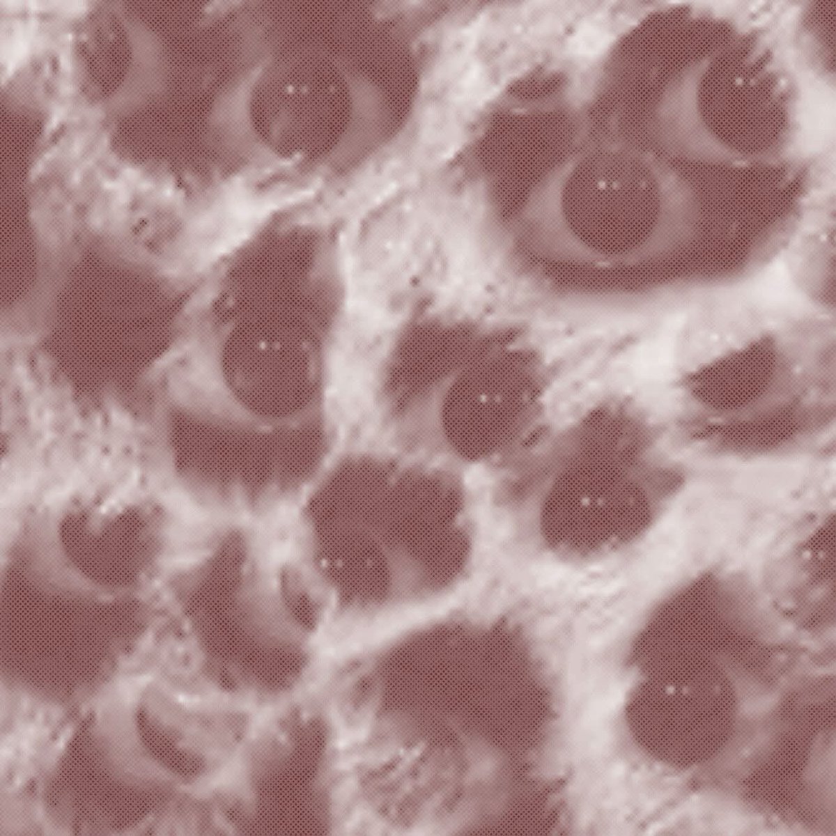 “𝐋𝐄𝐓'𝐒 𝐆𝐎 𝐆𝐀𝐌𝐁𝐋𝐈𝐍𝐆 𝐇𝐎𝐍𝐄𝐘 🩷” tweet media