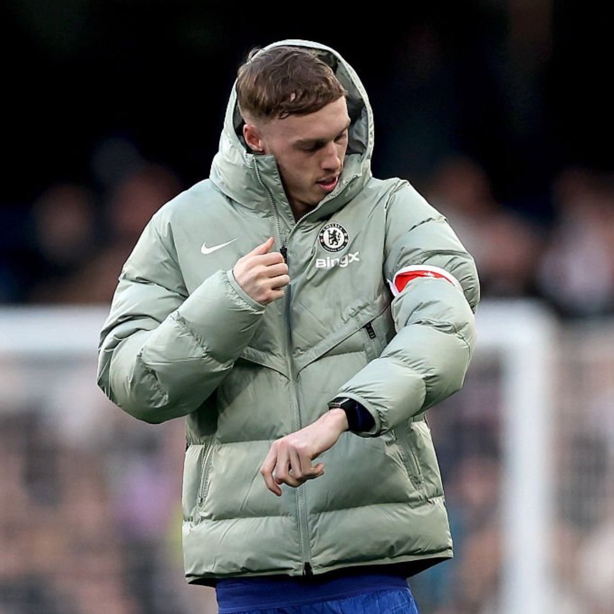 THE CHELSEA FORUM tweet media