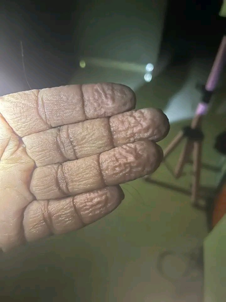 preye🤎 tweet media