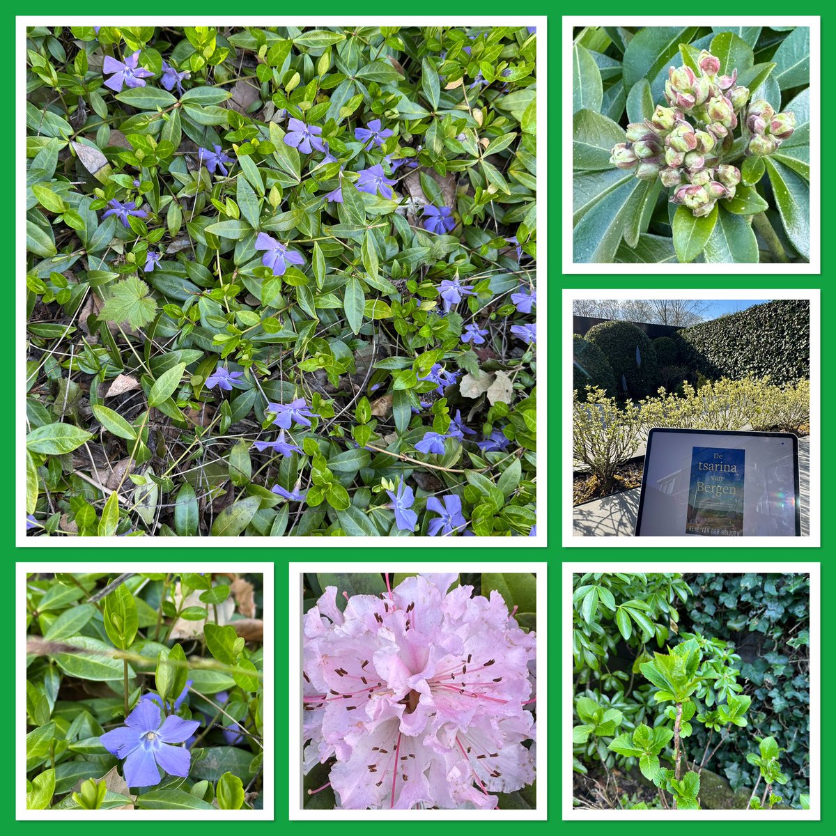 Esther Hollenberg tweet media