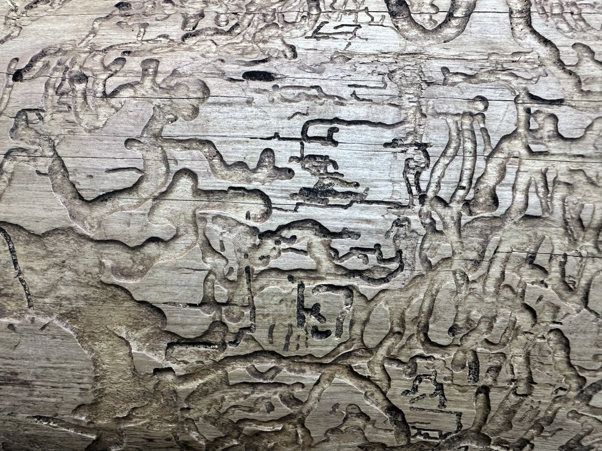 Hadden Turner tweet media