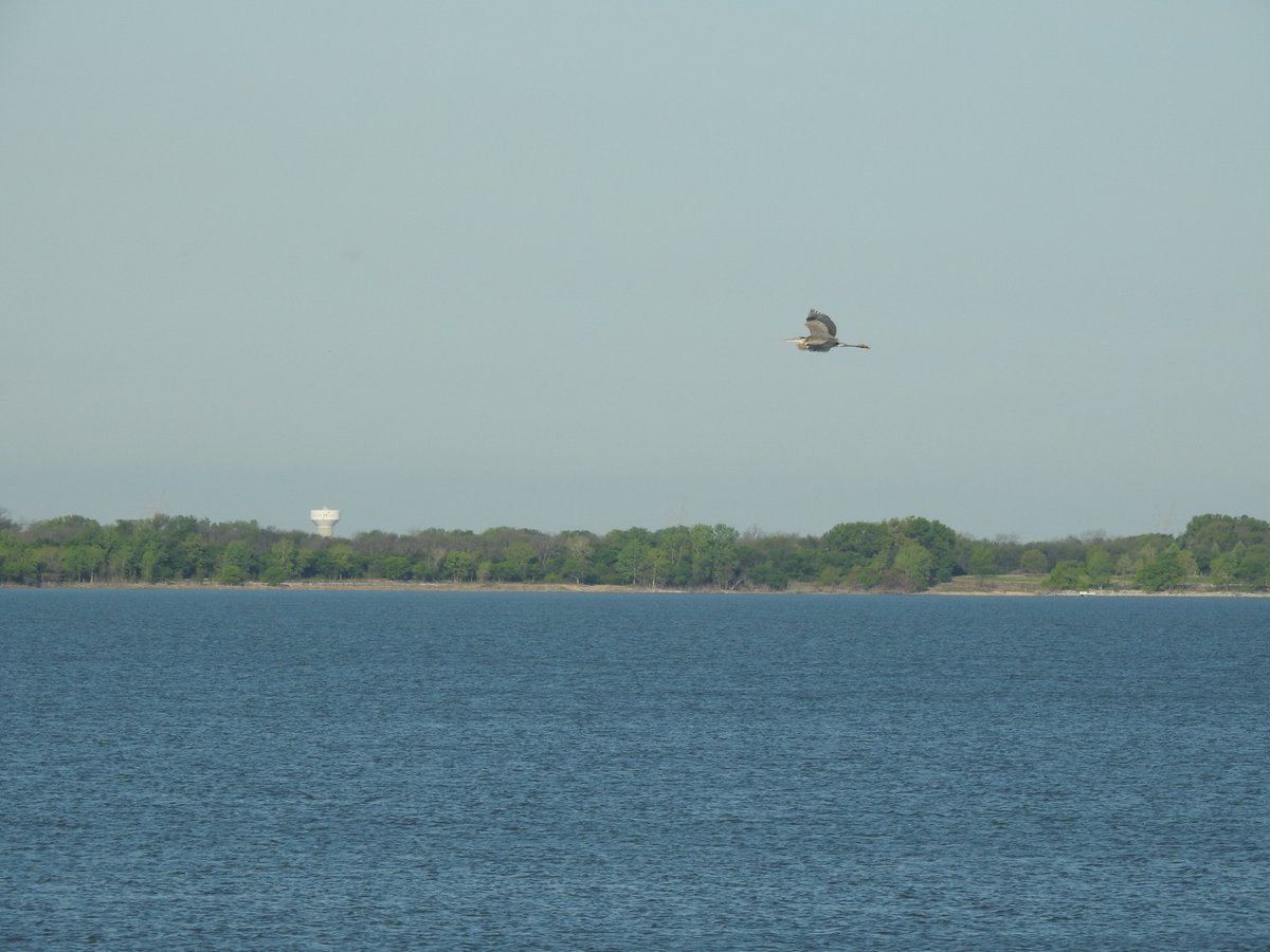 Huginn767's tweet image. Minimalist Monday  
One bird. One frame. Endless calm. Sometimes less really is more. 
#Minimalism #Nature  

QP or Share your minimalist clicks 📸