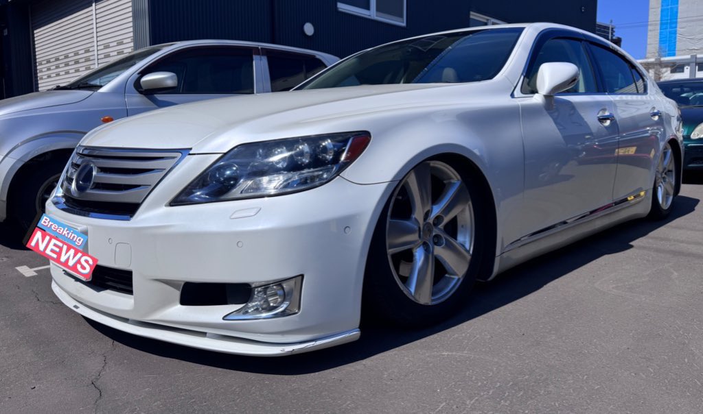 グレイシアイス❄️ tweet media