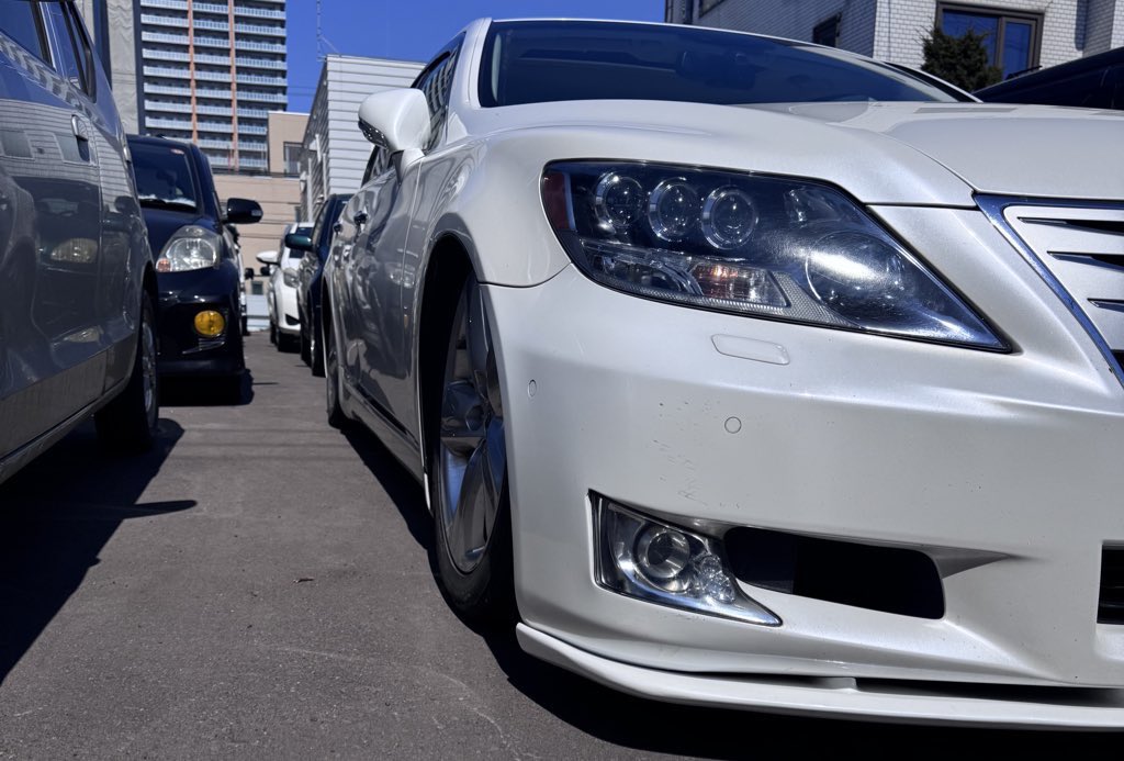 グレイシアイス❄️ tweet media