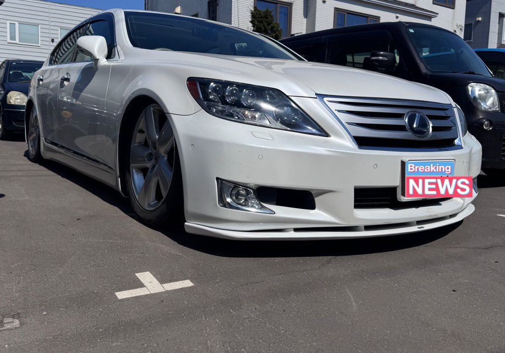 グレイシアイス❄️ tweet media