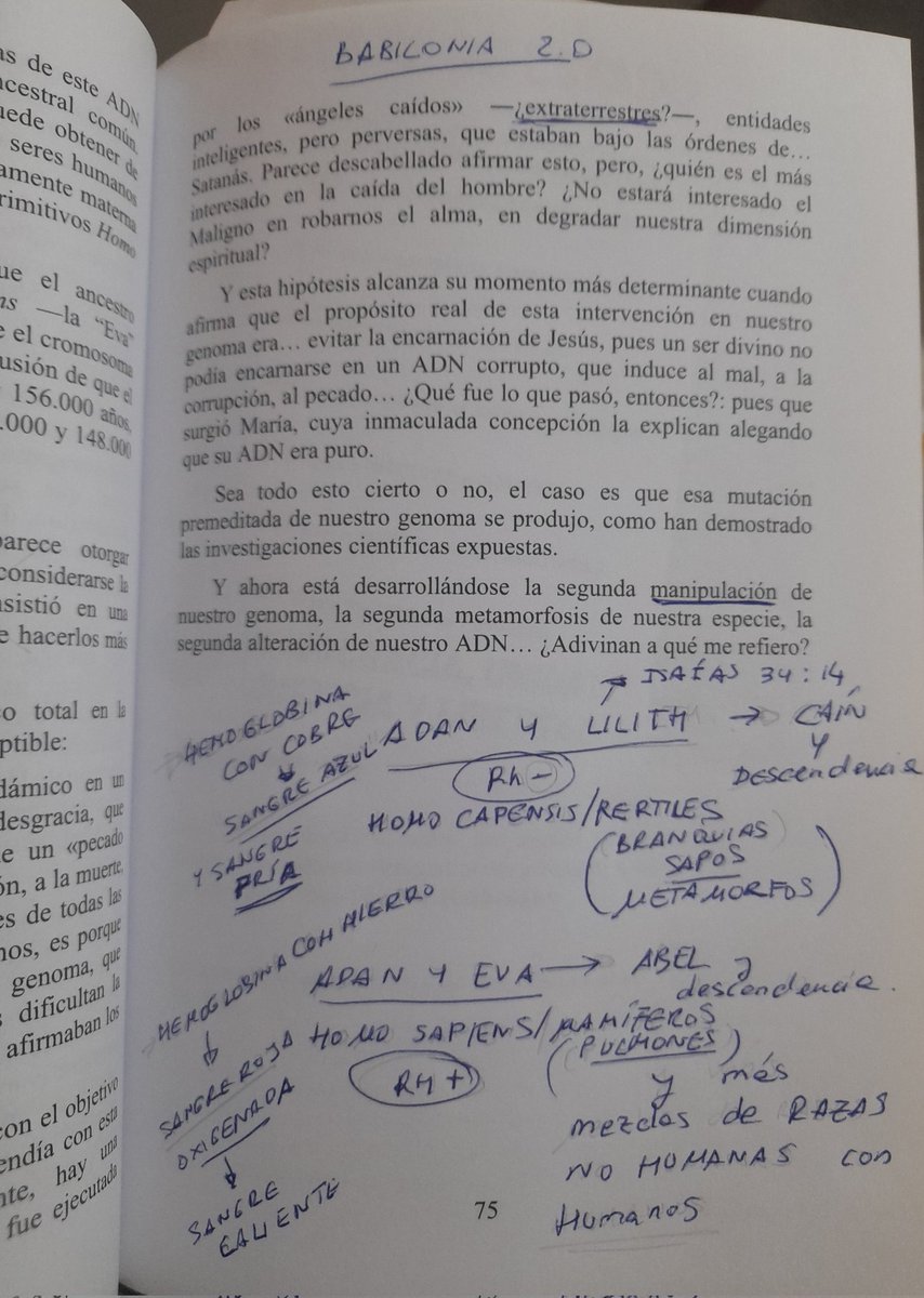 Ámbarjade García tweet media