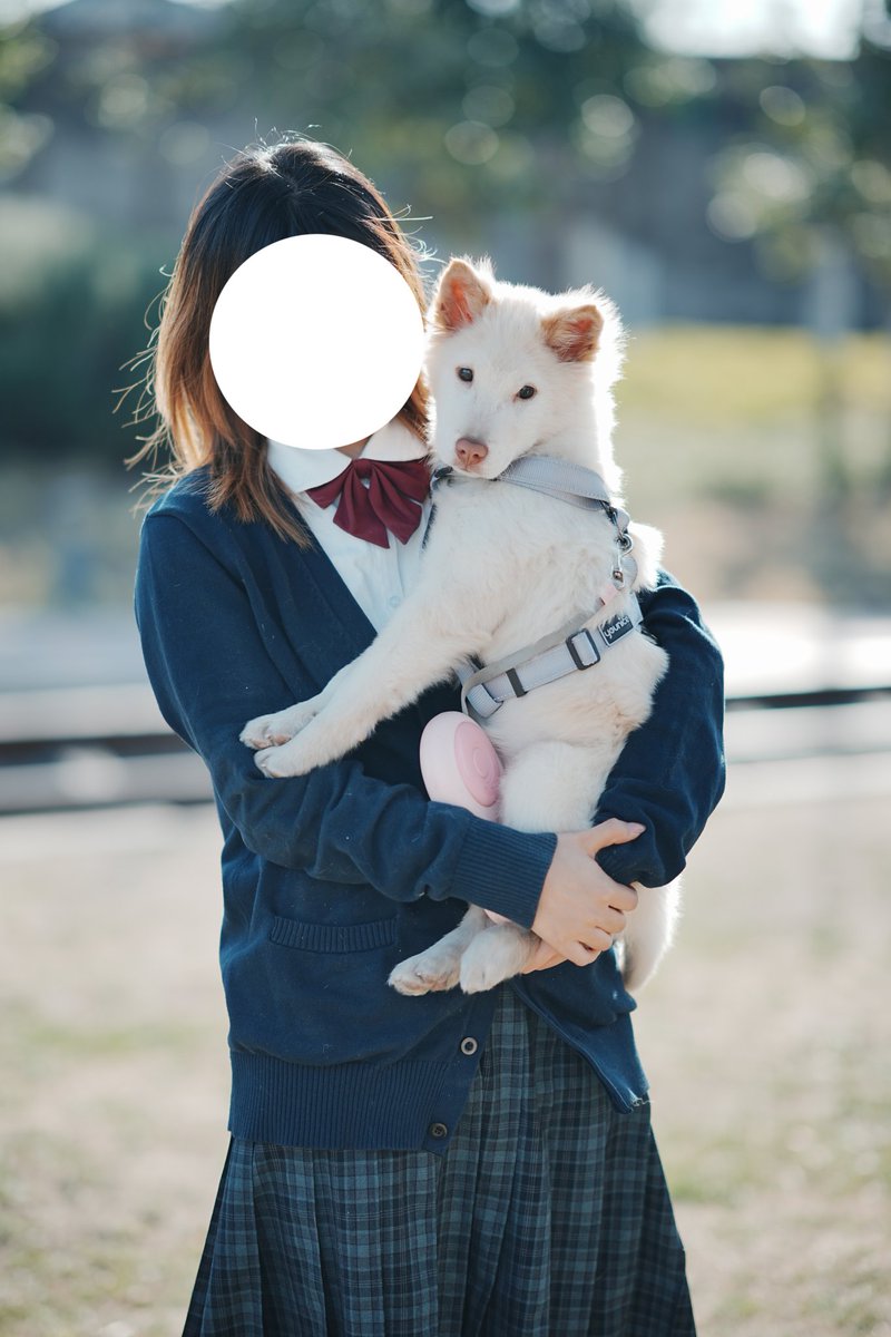 AiluMochi tweet media