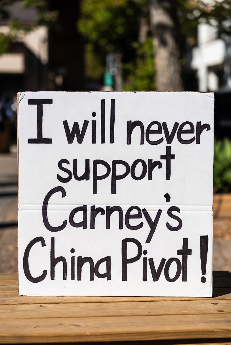 Concerned Canadian tweet media