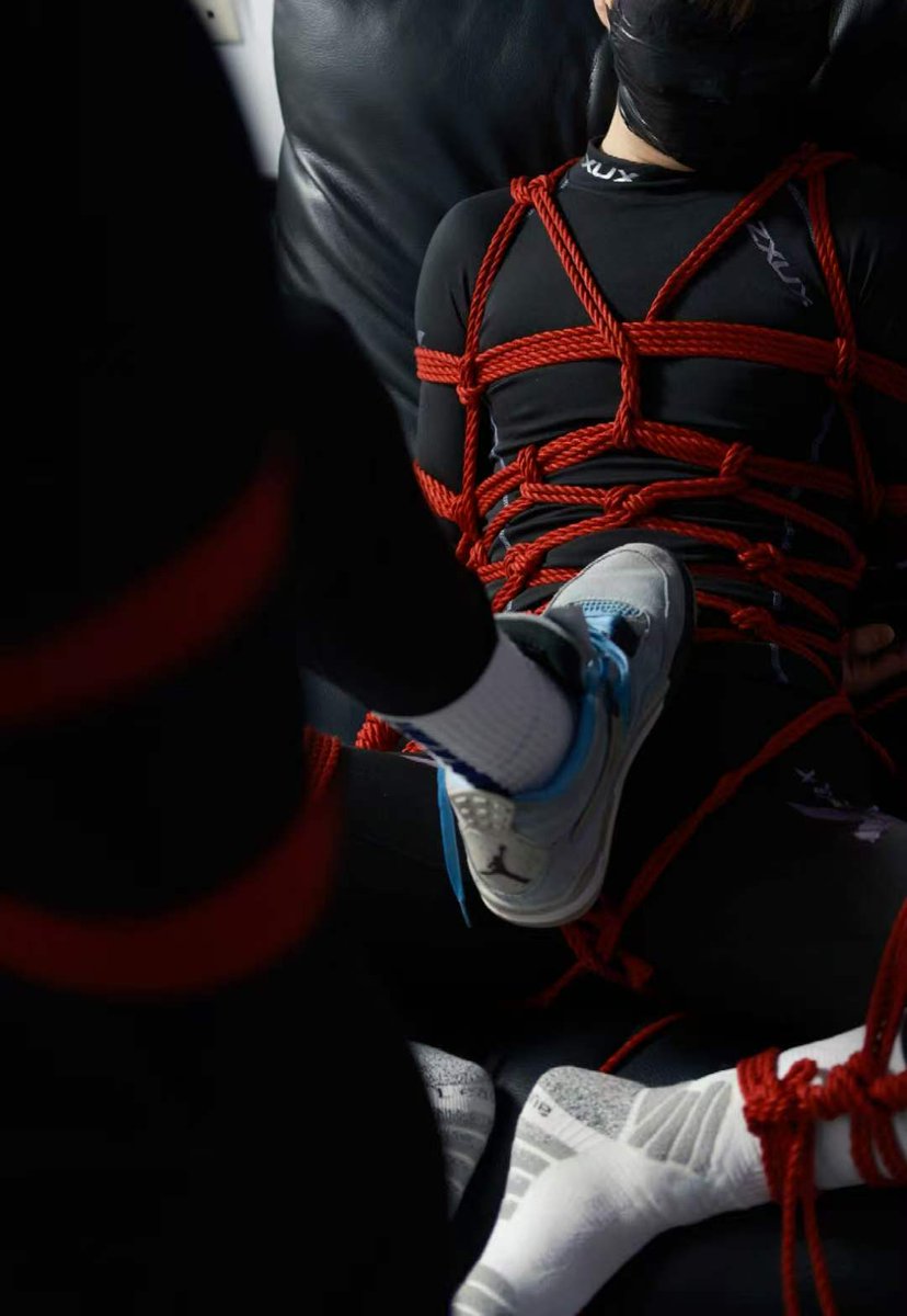 金毛犬 tweet media