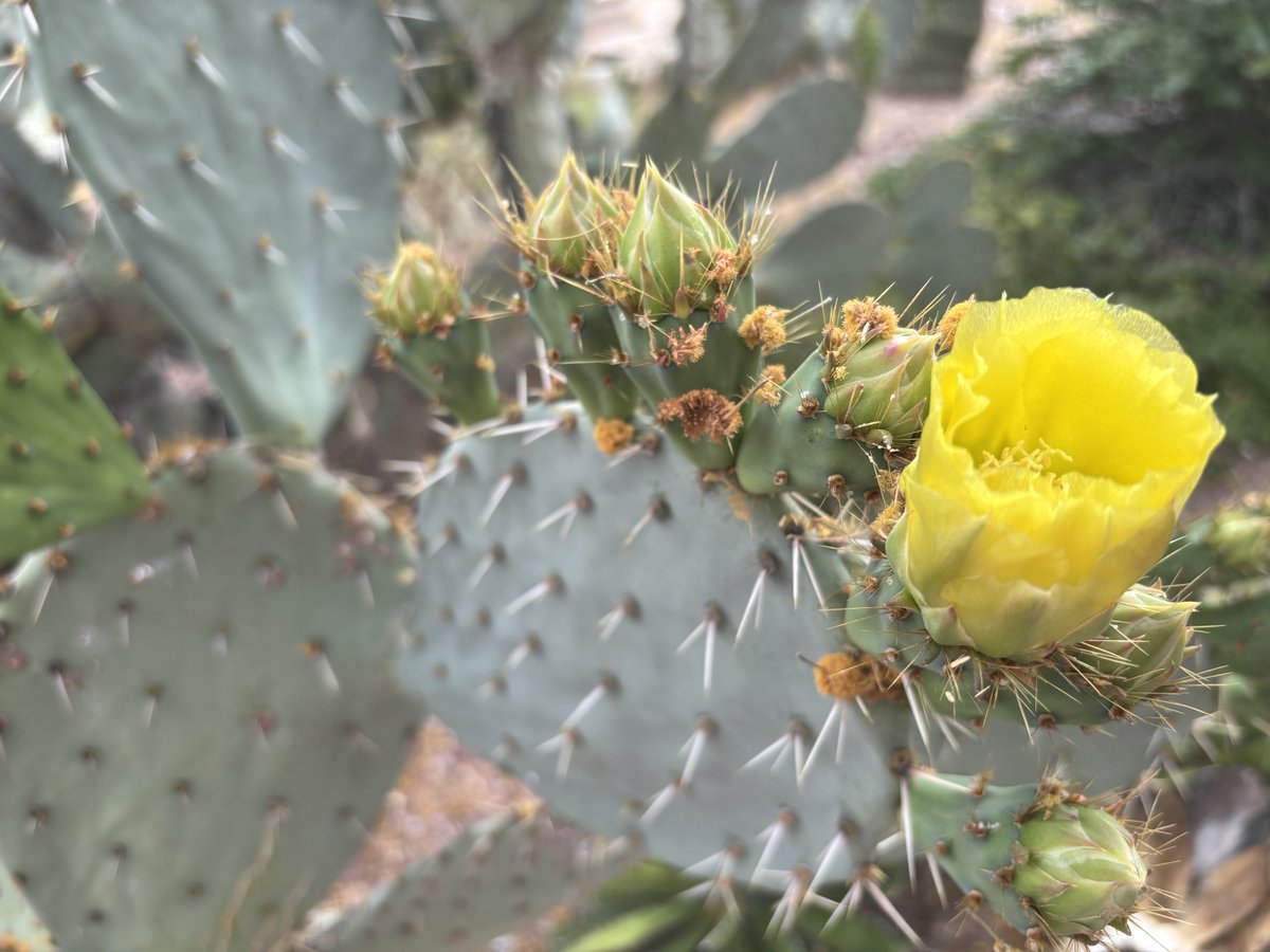 Just in time for Easter!