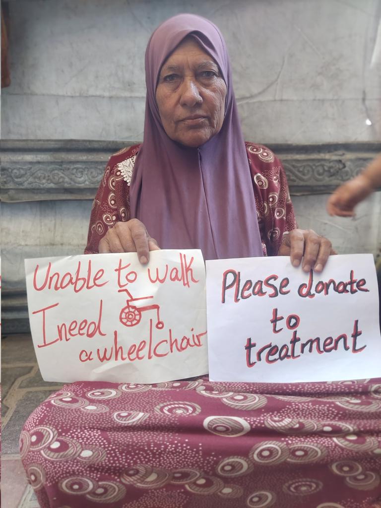 Shadia Hamad tweet media