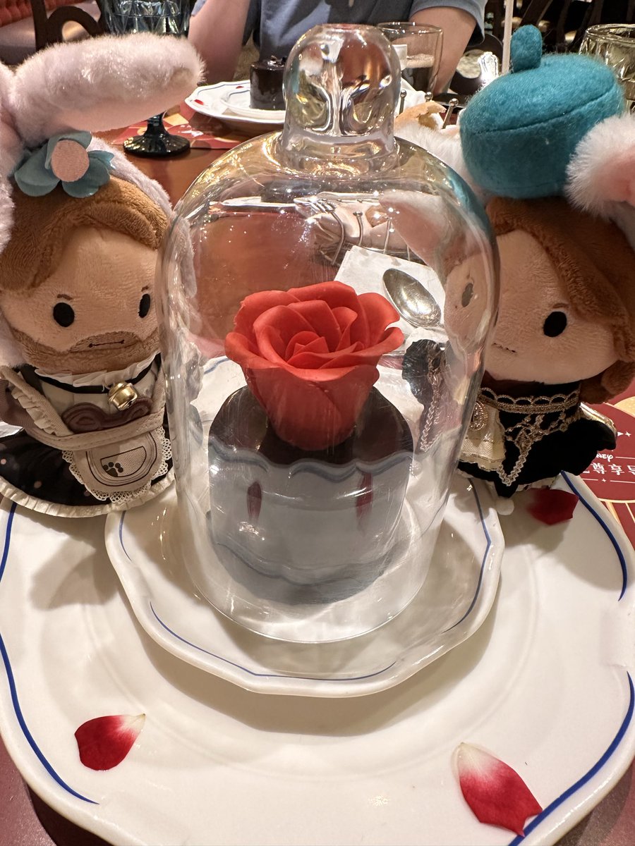 mayo.michi tweet media