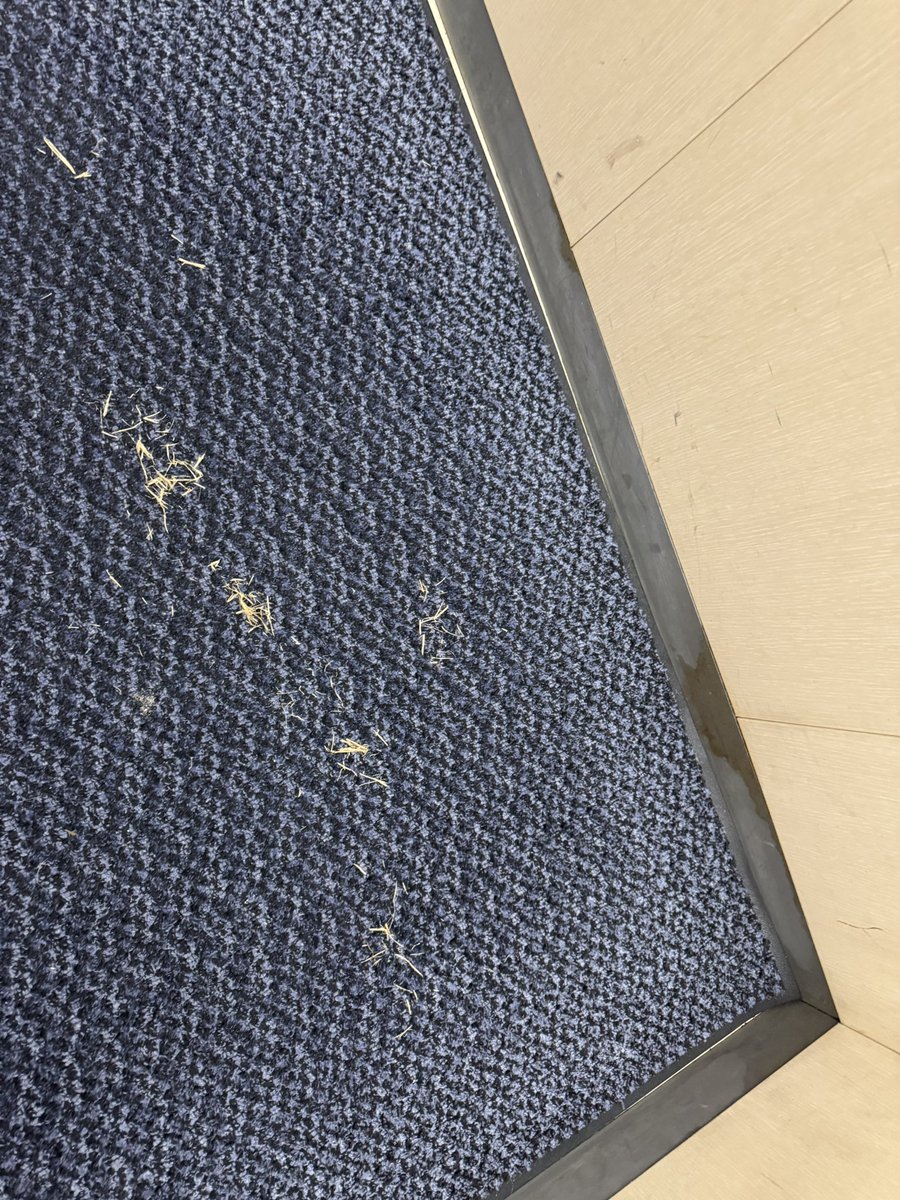 たきお tweet media