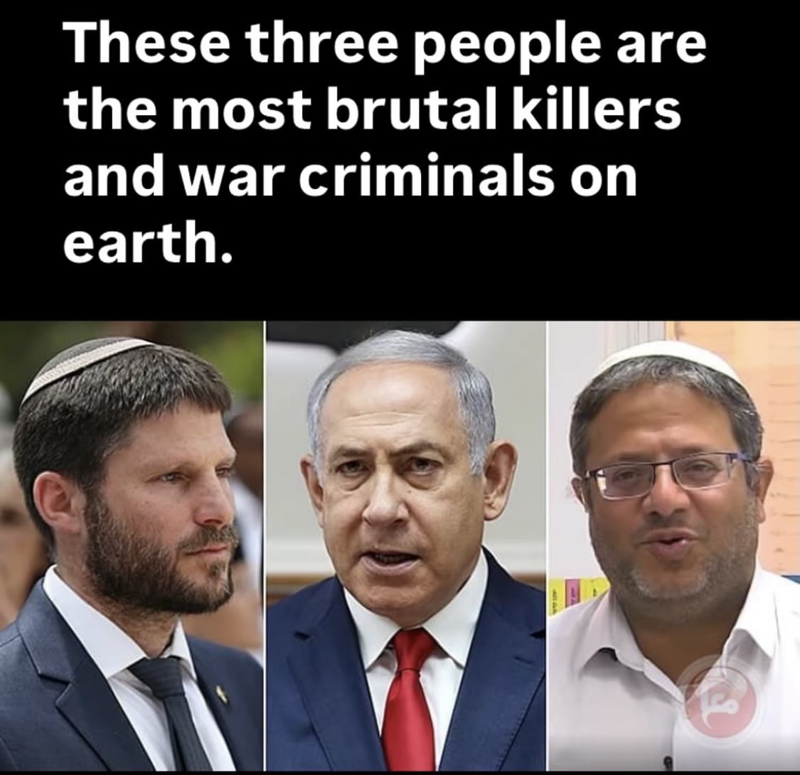 André V. tweet media