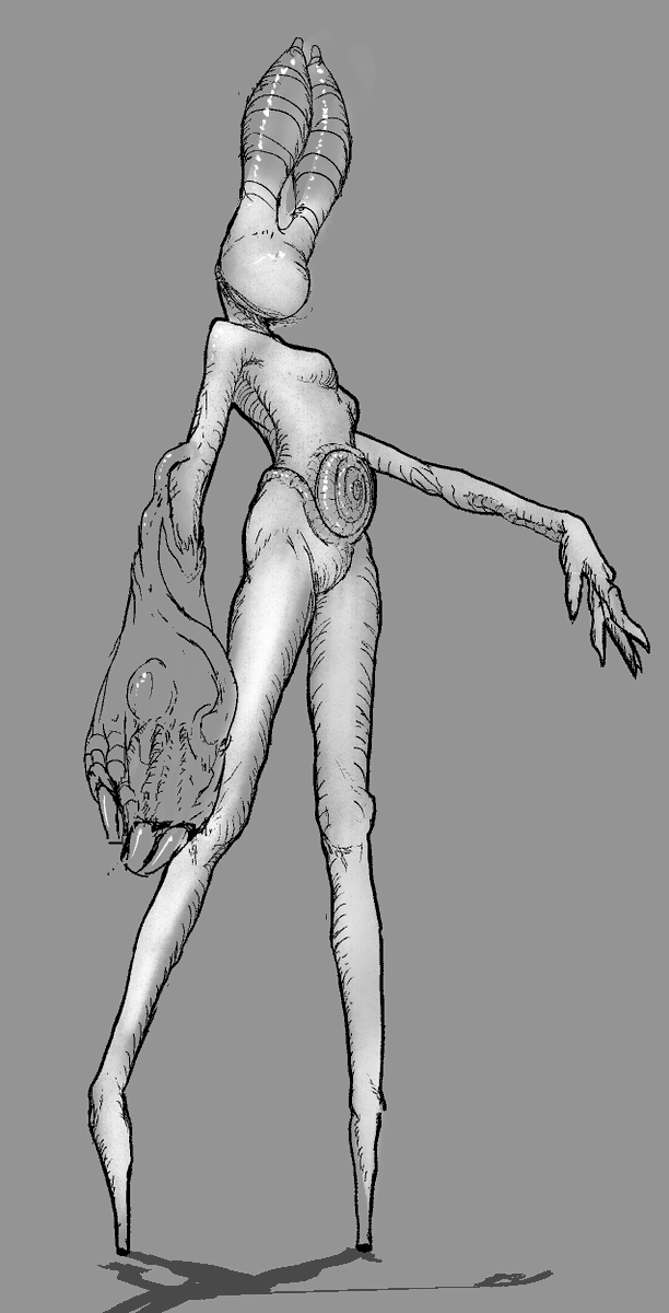 5 possums in a suit tweet media