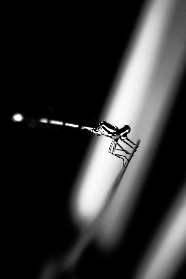 Jack Beatnic tweet media