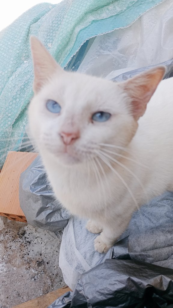 sophia 🍂 tweet media