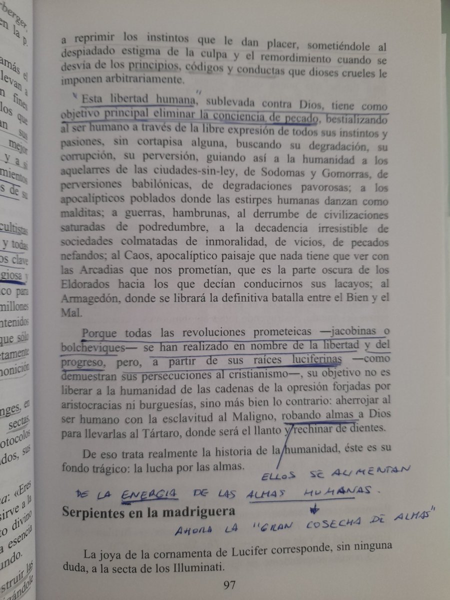 Ámbarjade García tweet media