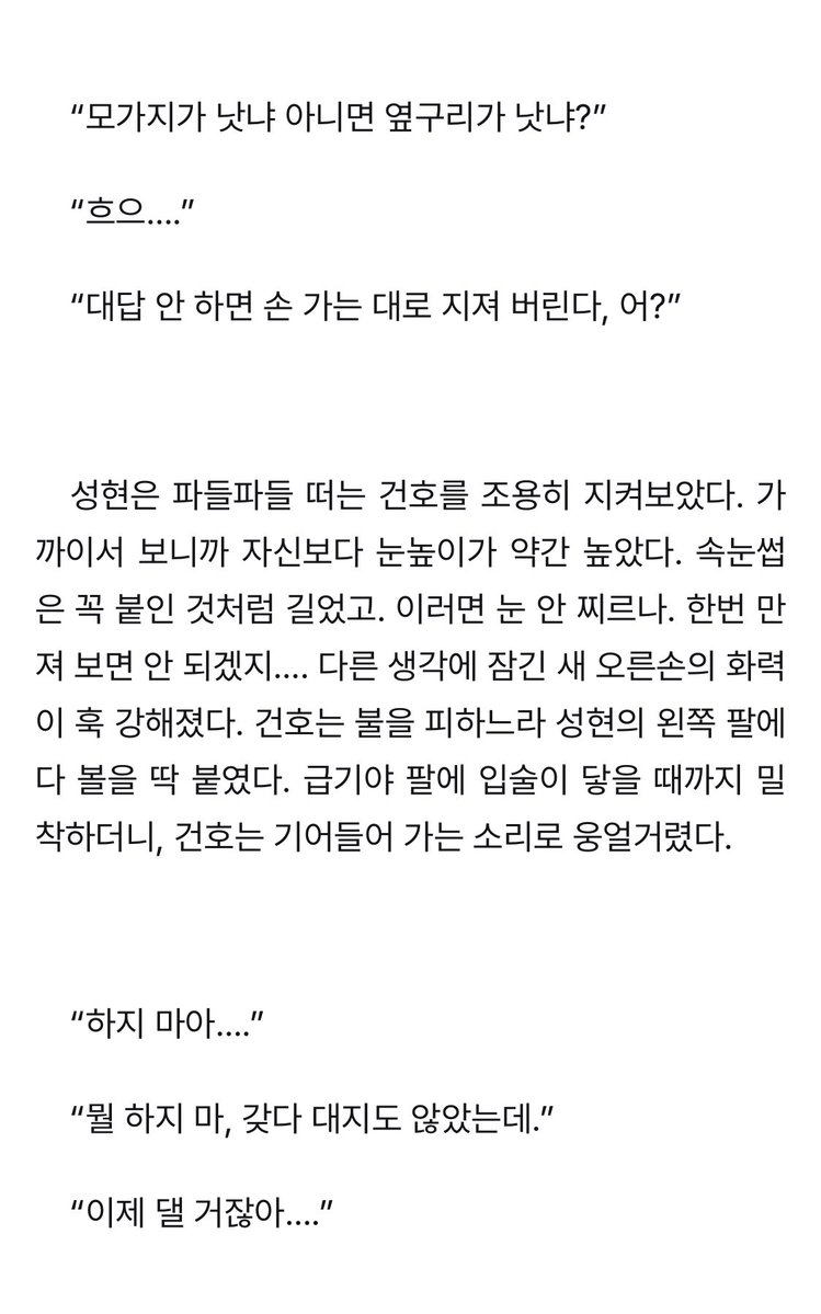 시떼루 tweet media