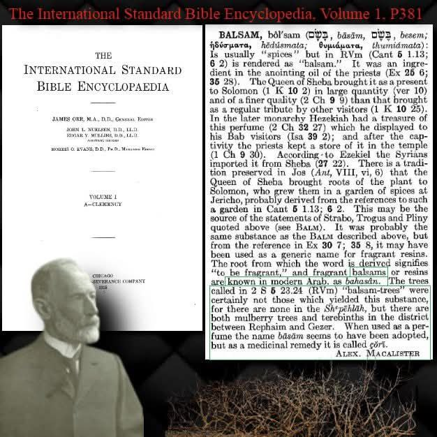 🧵Mecca and Medina in Bible manuscripts https://t.co/3BczSZIdml ...