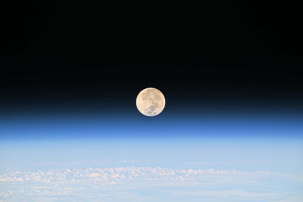 Adenot Sophie tweet media